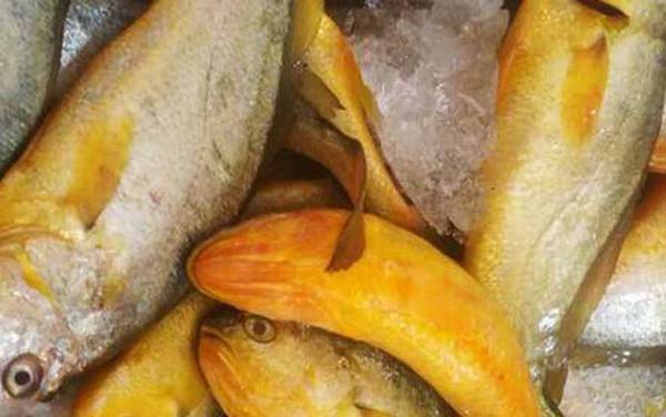 �������ʲô�㣿