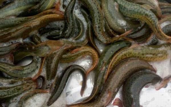 ������Ҫ�߱�ʲô������