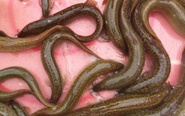 ������Ҫ�߱�ʲô������