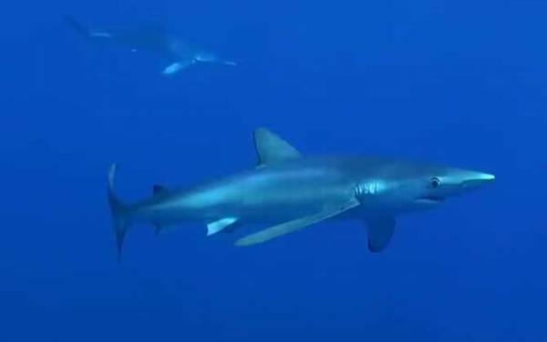 ��������ʲô�㣿