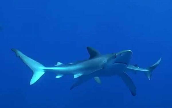 ��������ʲô�㣿