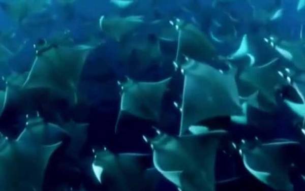 ��������ʲô���