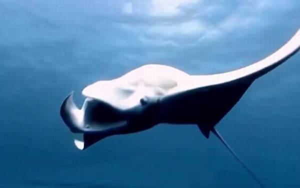 ��������ʲô���