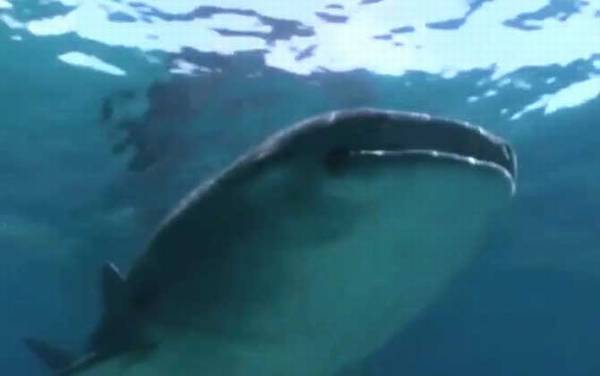 ��Ǯ����ʲô���㣿