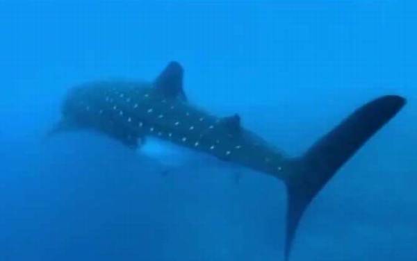 ��Ǯ����ʲô���㣿