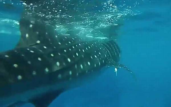 ��Ǯ����ʲô���㣿