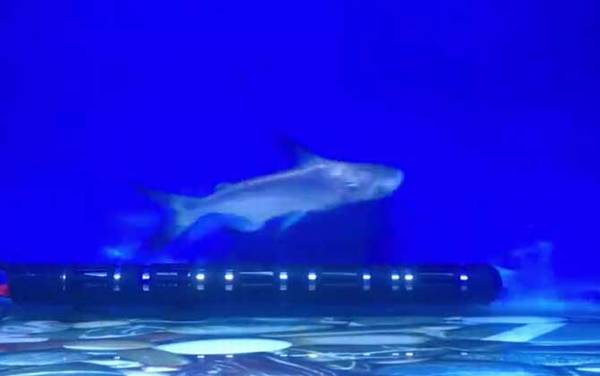 成吉思汗鲨是什么动物?