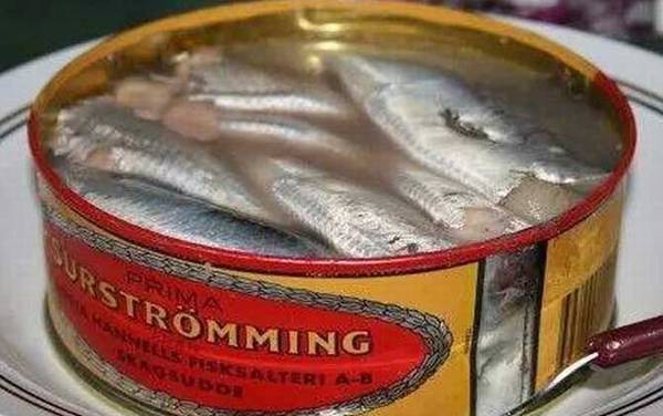 鲱鱼罐头为什么这么臭?