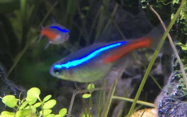 �������༰ͼƬ��ȫ