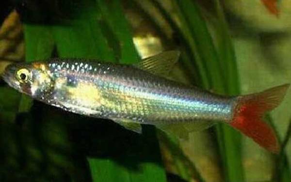 �������༰ͼƬ��ȫ