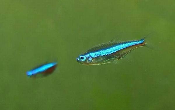 �������༰ͼƬ��ȫ