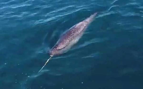 ���Ǿ���ʲô���