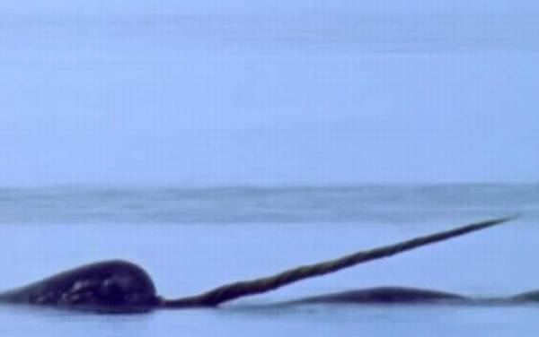 ���Ǿ���ʲô���