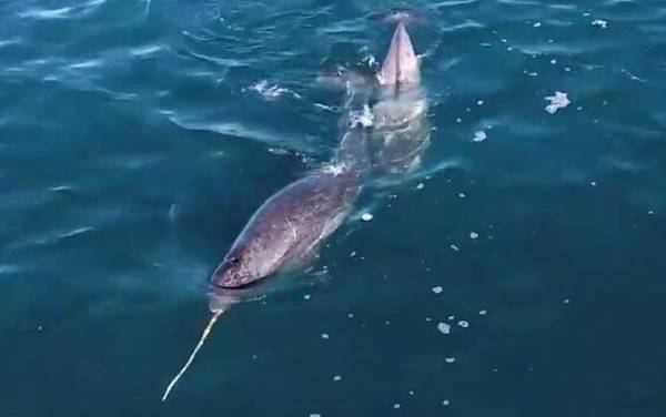 ���Ǿ���ʲô���