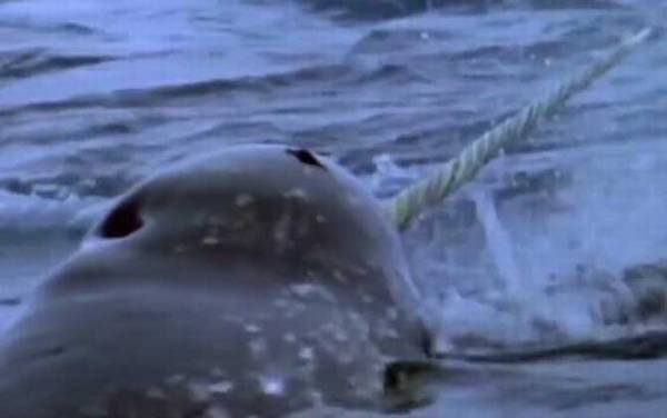 ���Ǿ���ʲô���