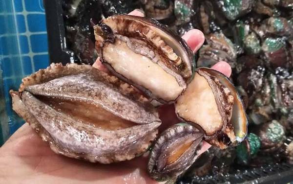 ��������òſ��Գԣ�