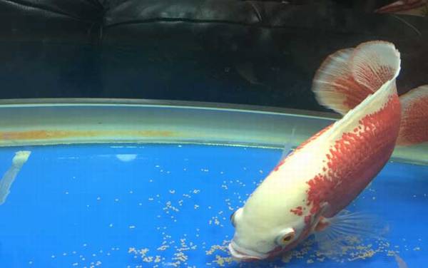 ��ͼ����ʲô�㣿