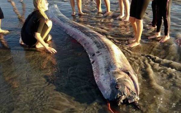 �ʴ�����ʲô�㣿