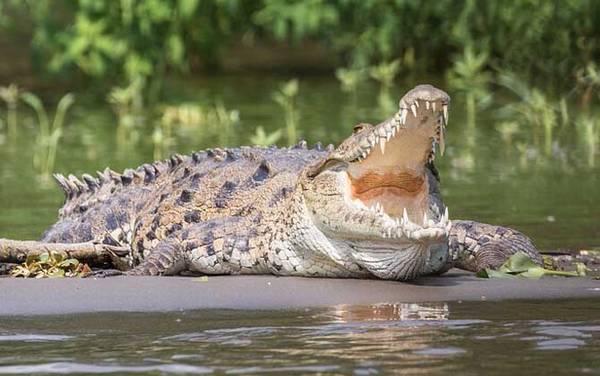 ��������ʲô���