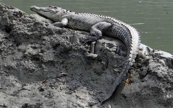 ���������������ж��