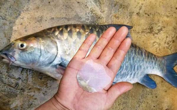 ������ʲô�㣿