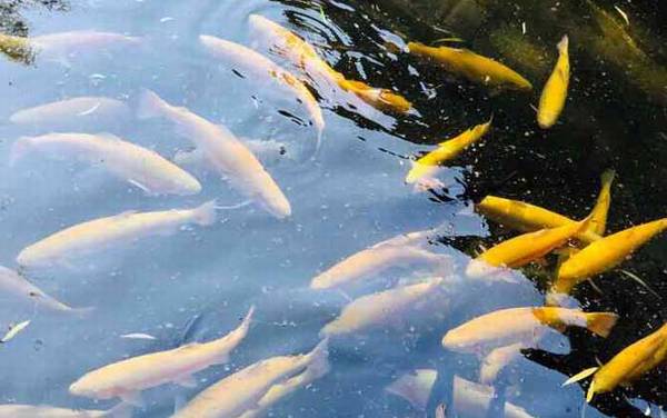 ������ʲô�㣿