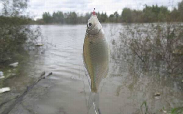 ��������ʲô�㣿