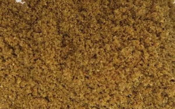 刚出生的小鱼吃什么?