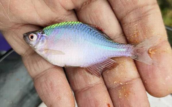 �����������ܳ����