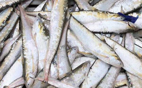 ����������ʲô�㣿