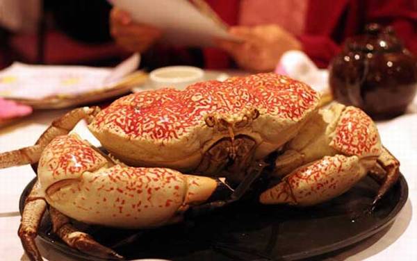 皇帝蟹是什么动物?