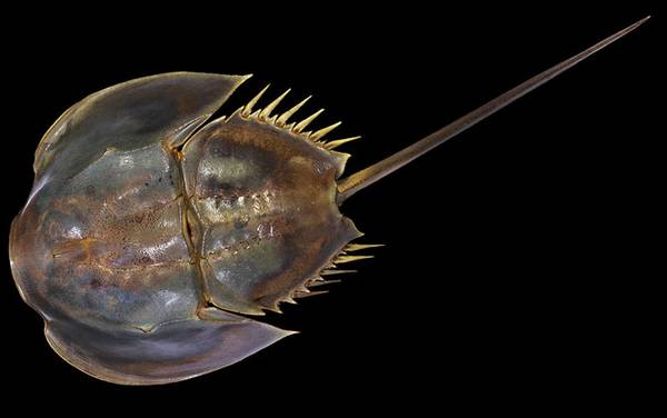 ����з��ʲô���