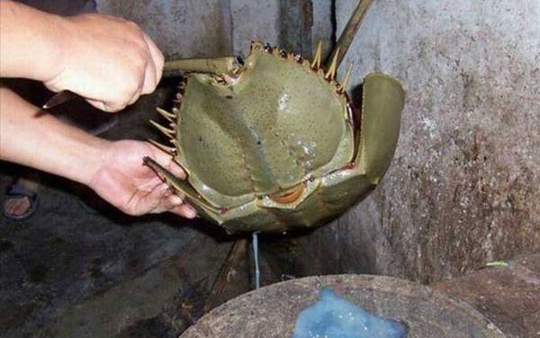 ����з��ʲô���