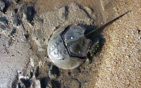 ����з��ʲô���