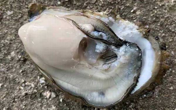 �����ʲô������