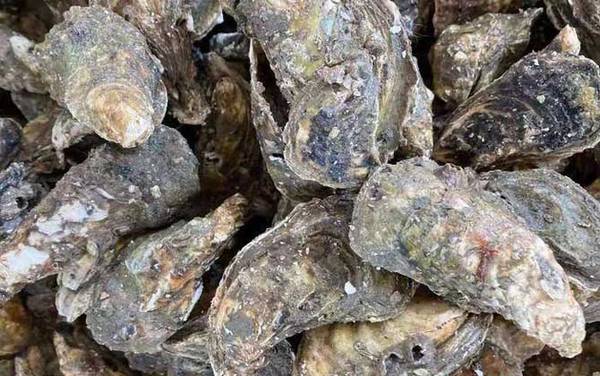 �����ʲô������