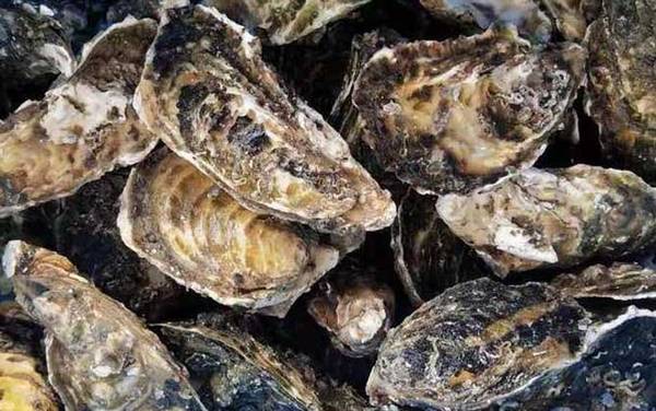 生蚝怎么处理干净?