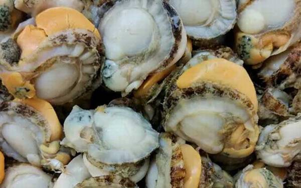 扇贝怎么清洗干净?