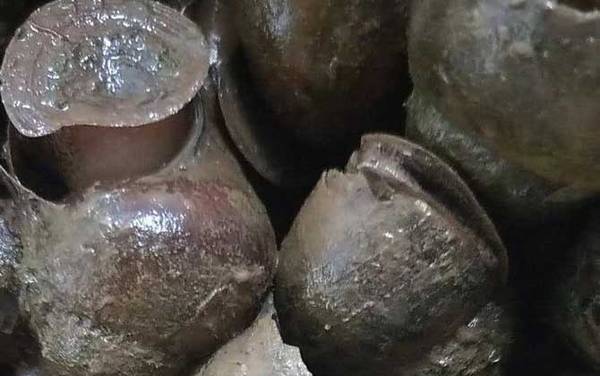 田螺吃什么食物?
