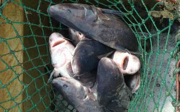 ���źͺ�����ʲô����