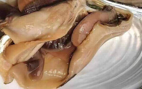 河蚌怎么处理?