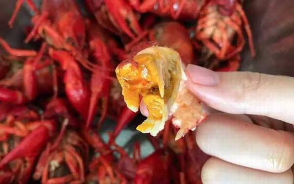 小龙虾头部里的黄是什么?