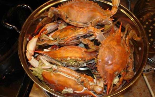 柿子和螃蟹能一起吃吗?