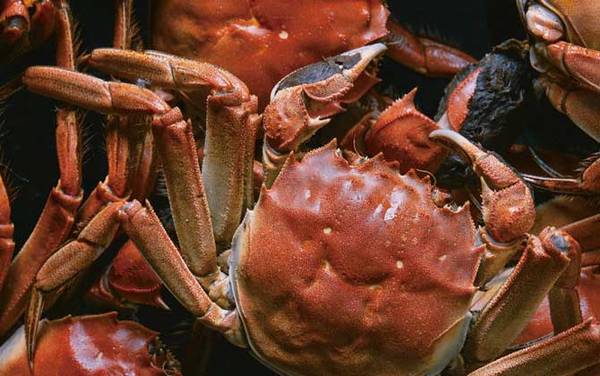 哺乳期可以吃螃蟹吗?