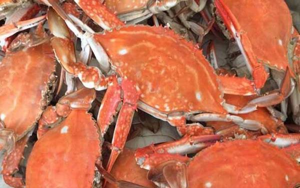 吃螃蟹的禁忌有哪些?