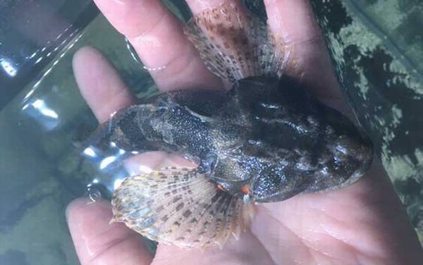 ����۸����Ǯһ�