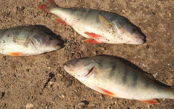 ����۸����Ǯһ�