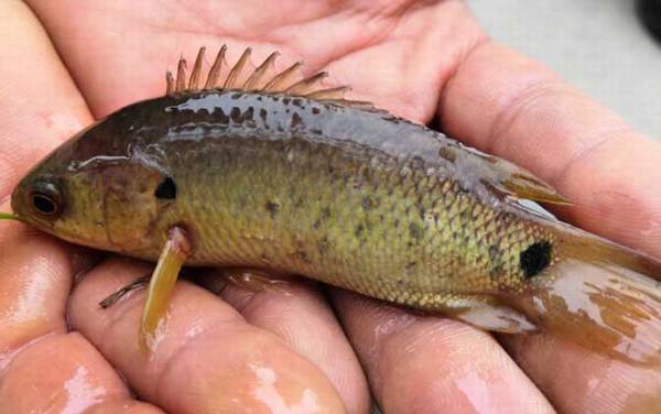 ����۸����Ǯһ�