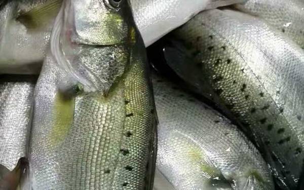 ������۸����Ǯһ�