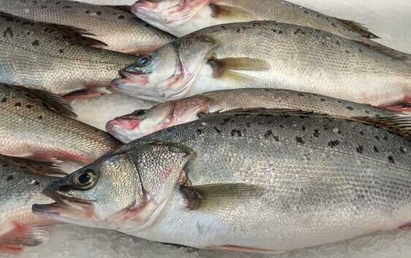 ������۸����Ǯһ�